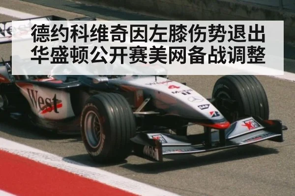 德约科维奇因左膝伤势退出华盛顿公开赛美网备战调整